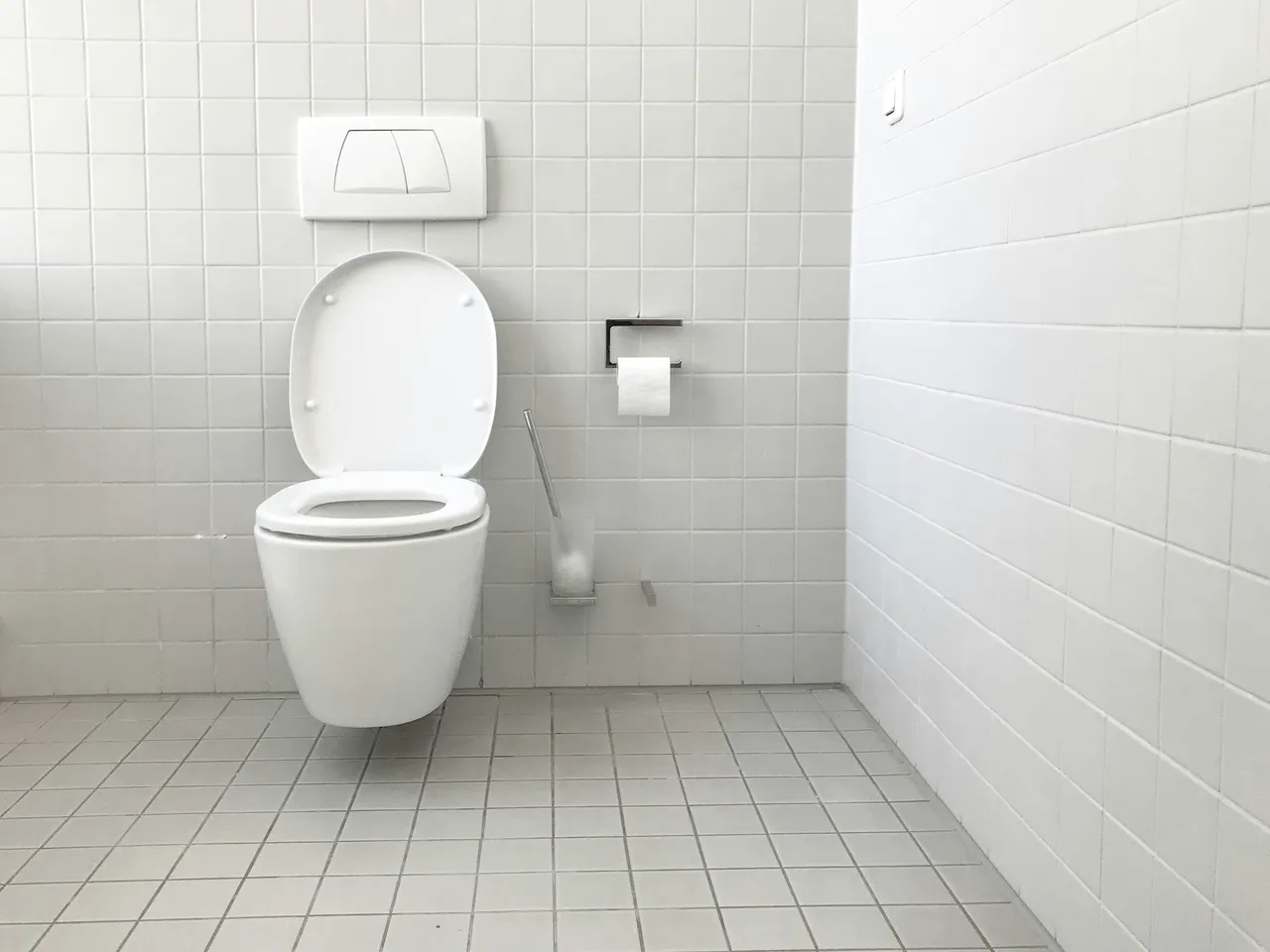 Immagine selezionata